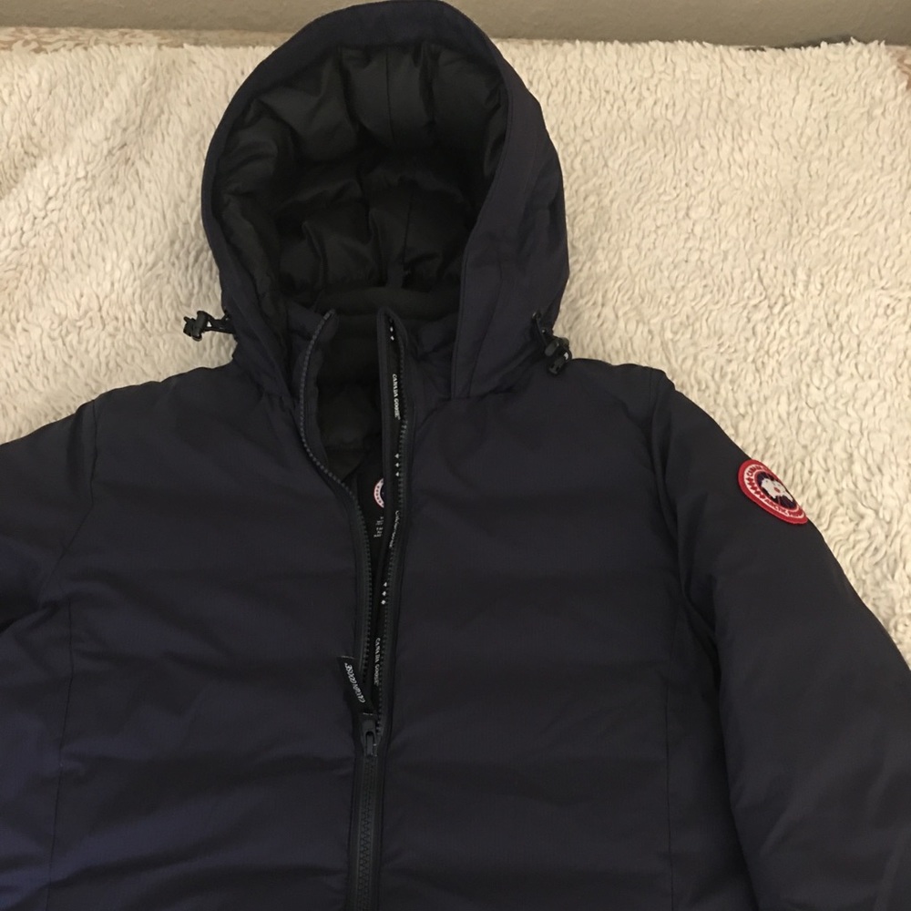 Canada goose